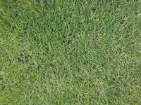 20120621_121644.webp