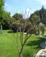 CIMG5117.webp