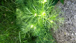 DSCN3169.webp