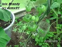 BILD0393.webp