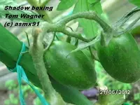 BILD0398.webp