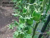 BILD0399.webp