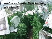 BILD0402.webp