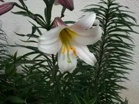 2012-06-07 15.40.33.webp