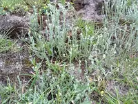21062012462.webp