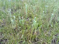 21062012464.webp