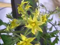 PIC_0059.webp