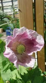 DSC01566.webp