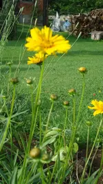 DSC01570.webp DSC01570.webp