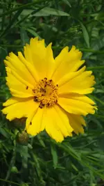DSC01572.webp