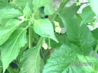 BILD0946.webp