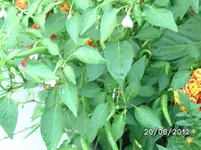 BILD0948.webp