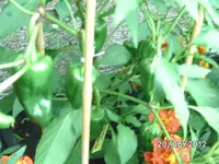 BILD0949.webp