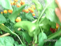 BILD0952.webp