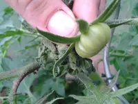 2012-06-16 12.44.26.webp