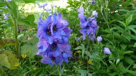 K800_22. Juni 2012 020.webp