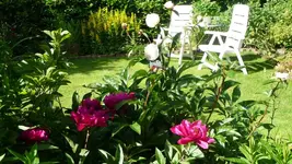 K800_22. Juni 2012 021.webp
