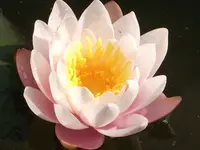 DSCF1987.webp