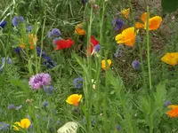 DSCF1956.webp