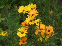 DSCF1958.webp