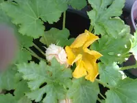 23062012623.webp