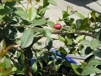 DSCN8870.webp