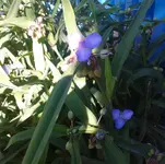 2012-06-23 09.22.53.webp
