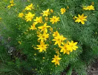 2012-06-23 10.52.24.webp