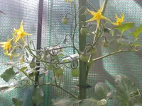 2012-06-23 09.25.51.webp