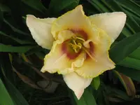 IMG_a 250_800x600.webp