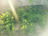 20120623184050.webp