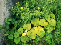 20120623184221.webp
