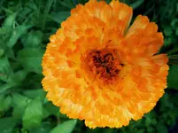 20120623184505.webp