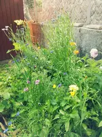 20120623184600.webp