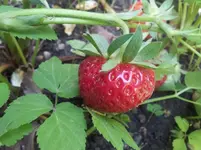 20120617124332.webp