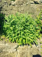 20120617160153.webp