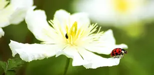 15. EvaKa - Fertig zum Start.webp 15. EvaKa - Fertig zum Start.webp