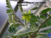 BILD0405.webp