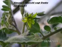 BILD0407.webp