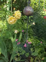 HPIM7714.webp