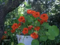 HPIM7718.webp