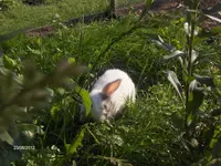 HPIM7803.webp