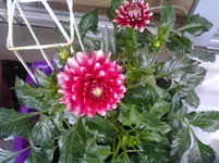 20120624_083150.webp