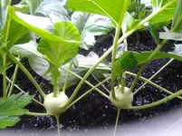 20120624_083343.webp