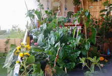 20120624_083434-1.webp