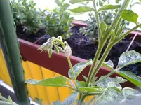 20120624_083240.webp