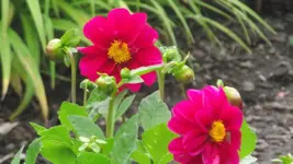 juni 022.webp