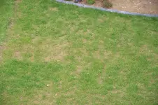20120624_Garten_0002.webp