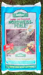 allflor-nordweiss-perle-07-08-2006-1.webp