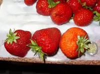 009.webp
